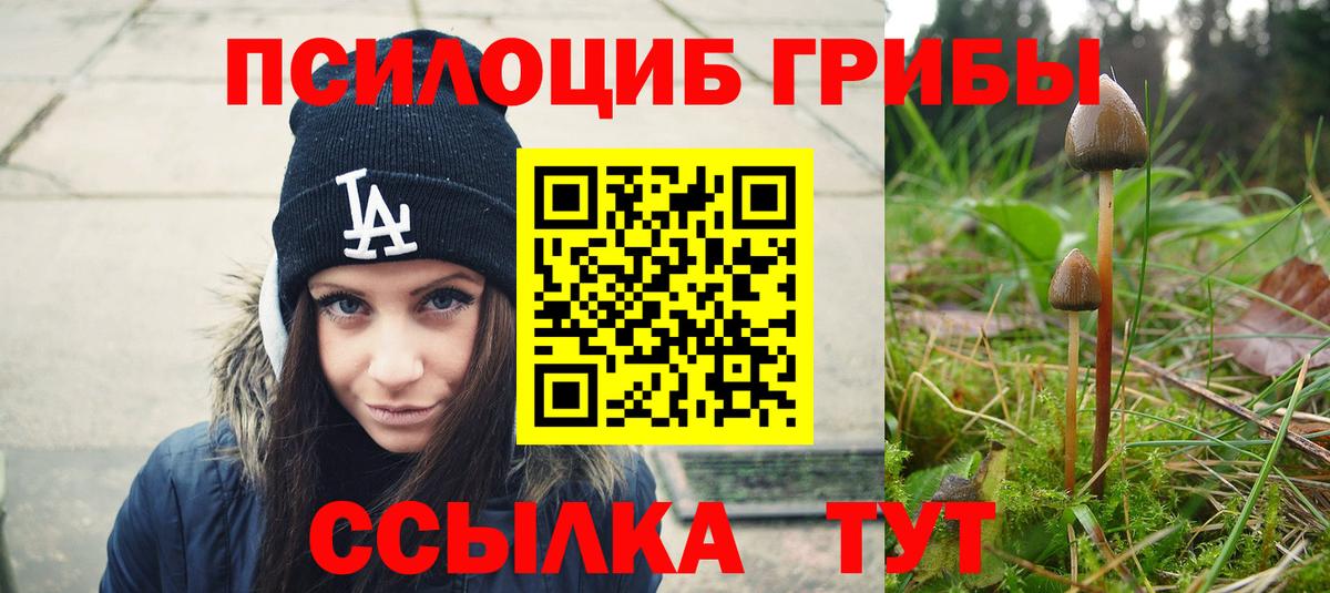 Псилоцибиновые грибы Cubensis  Галлюциногенные грибы MAGIC MUSHROOMS  Губаха  Вход с VPN 
